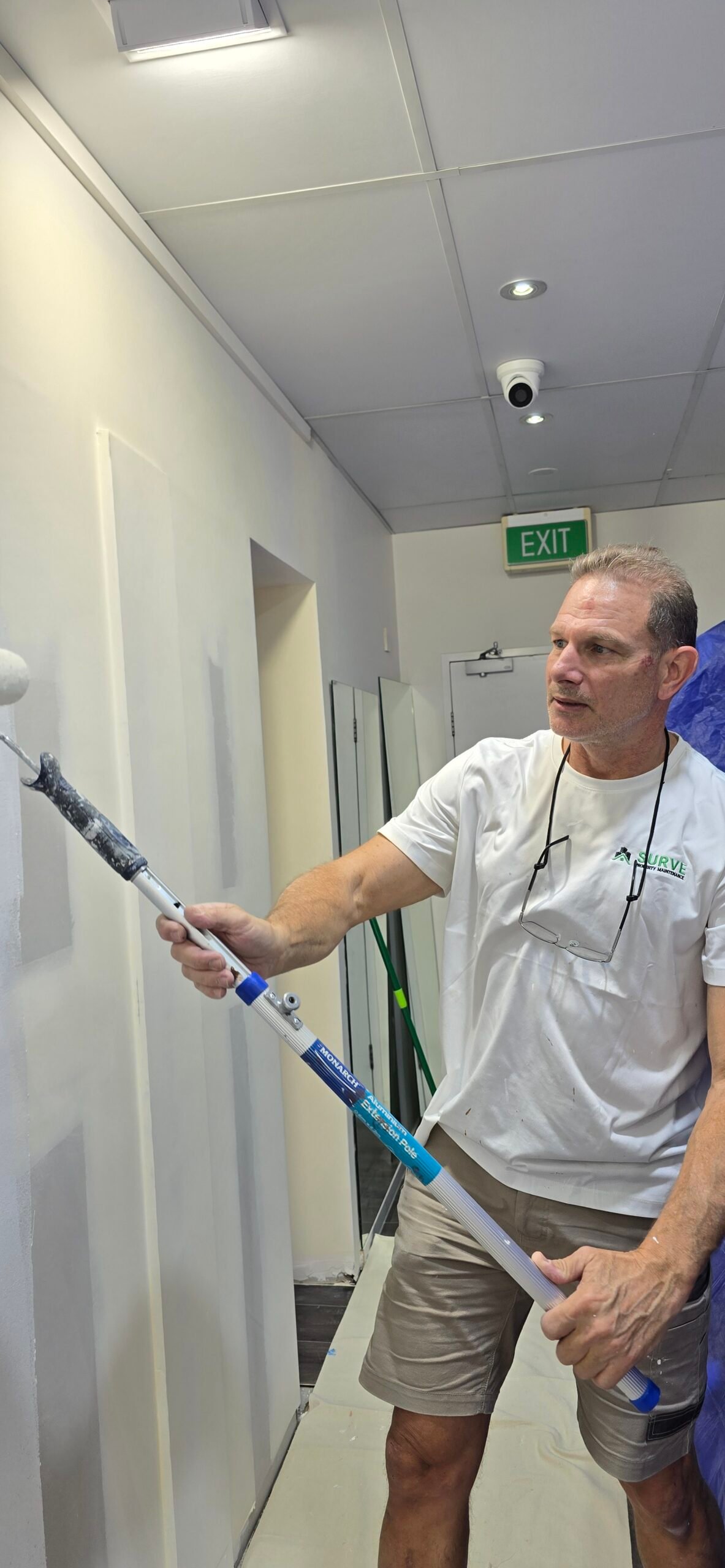 Plaster wall construction and painting