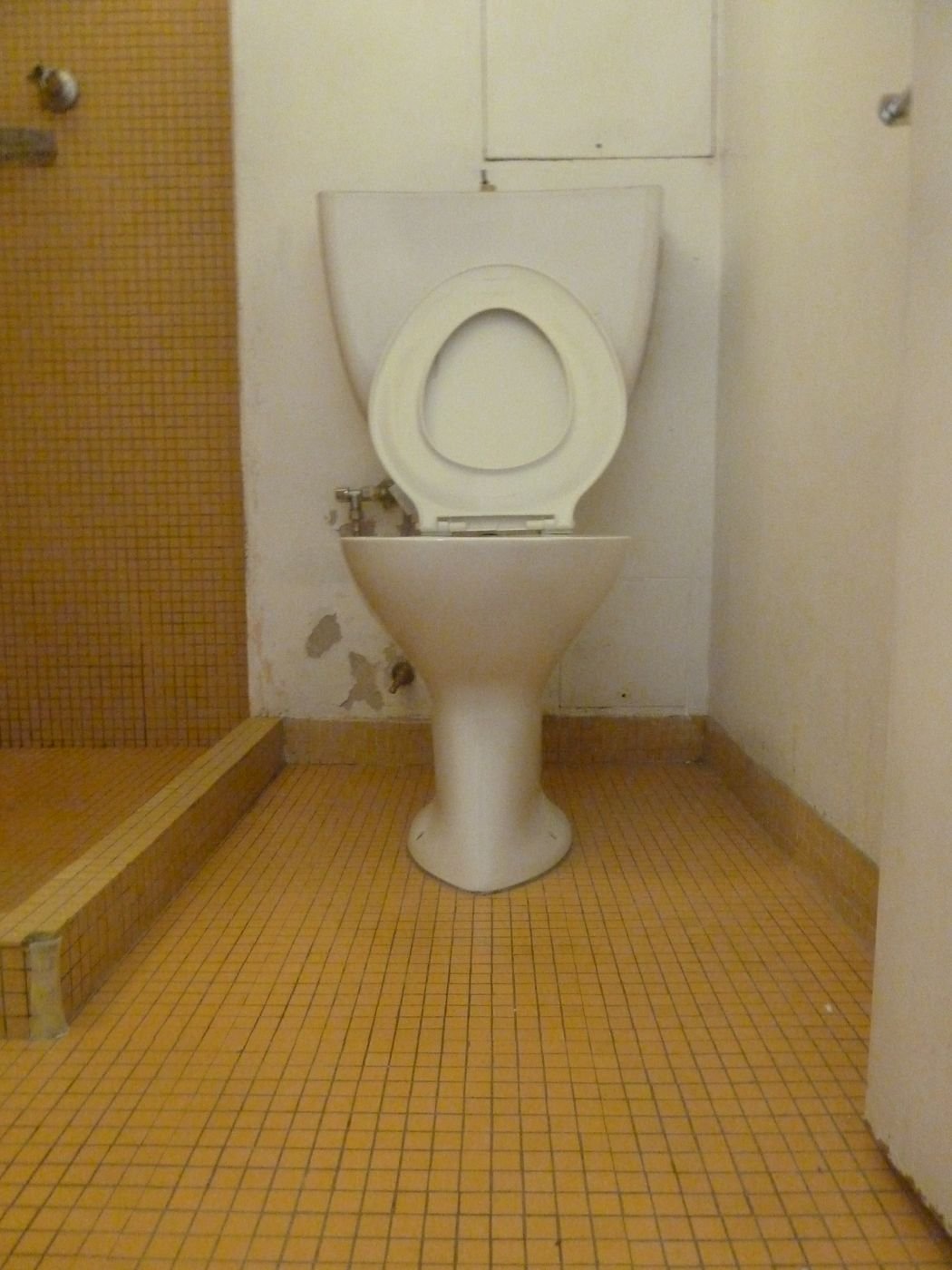 Before: bathroom renovation